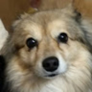 Meet your Posher, Lora